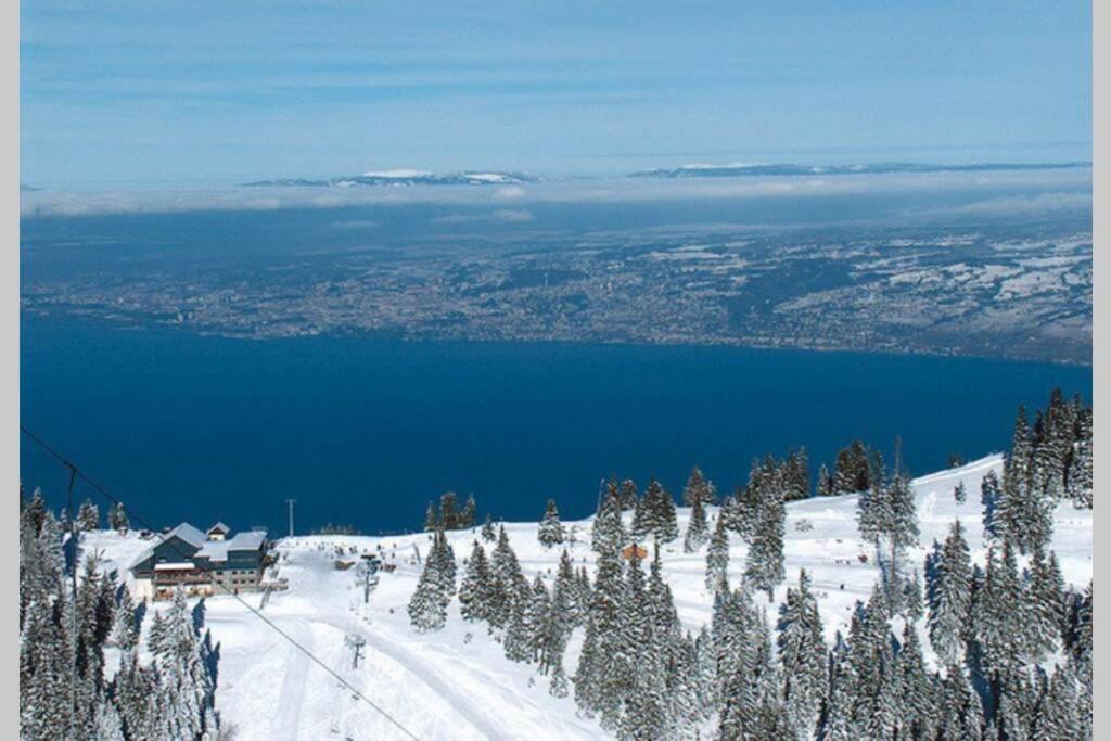 Duplex En Station Vue Sur Lac Leman Thollon-les-Memises エクステリア 写真