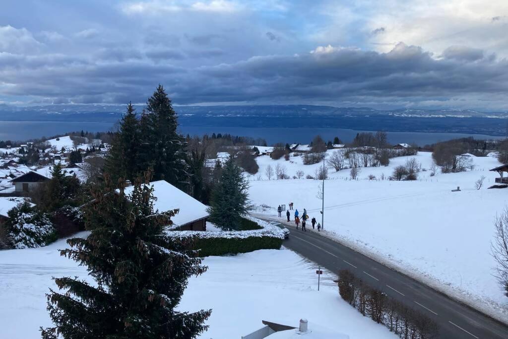Duplex En Station Vue Sur Lac Leman Thollon-les-Memises エクステリア 写真