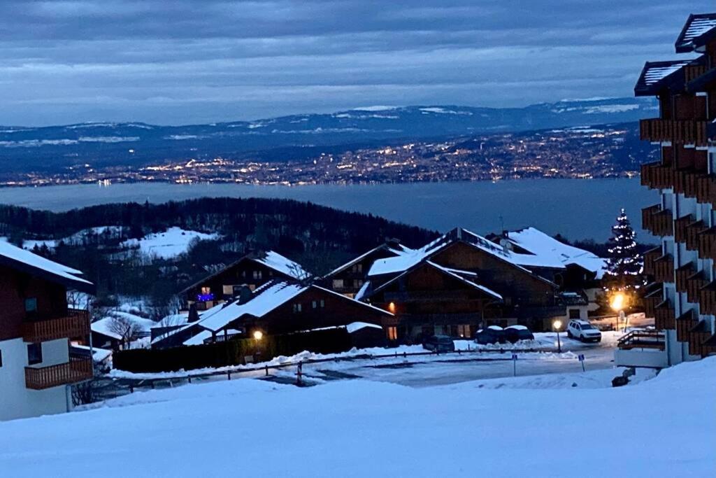 Duplex En Station Vue Sur Lac Leman Thollon-les-Memises エクステリア 写真