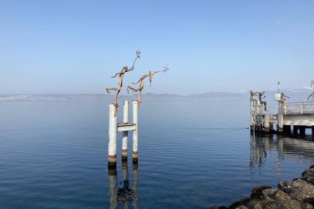 Duplex En Station Vue Sur Lac Leman Thollon-les-Memises エクステリア 写真