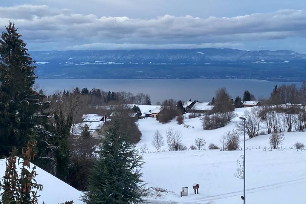 Duplex En Station Vue Sur Lac Leman Thollon-les-Memises エクステリア 写真